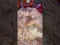 Get Hand Cleaned Aunt Bessie Chitterlings Shipped fully Cooked Yo save you time