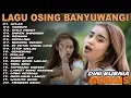 Download Lagu Album Dini Kurnia - ACLAK, GERIGIS, GULU PEDOT - Full Album Lagu Osing Banyuwangi On Trending 2025