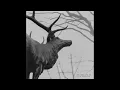 Agalloch - And the Great Cold Death of the Earth