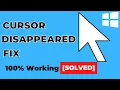 How To FIX Mouse Cursor SHOWING on Windows 10 Problem Latest