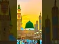 Download Lagu Mohmmad dun seyd un konaini wa#love #lifeisbutadream #beautiful