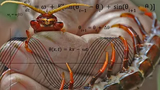 Centipede Mathematics