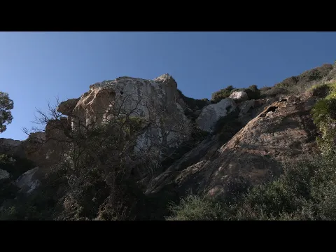 YouTube player