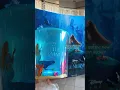 LIVE ACTION THE LITTLE MERMAID AMC POPCORN BUCKET