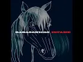 Babasonicos - Irresponsables (AUDIO)