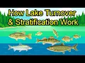 How Lake Turnover and Thermoclines Work and Affect Fishing
