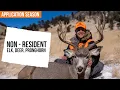 Don t Apply in Colorado Until You Watch This Big Game Applications EXPLAINED