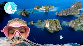 DIVING RAJA AMPAT | Misool Indonesia Episode 253 (Sailing Catalpa)