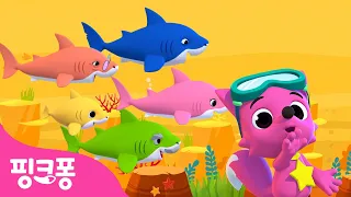 아기상어 뚜루루뚜루🦈 다같이 아기상어 춤춰요! | +모음집 | 바닷속 상어가족을 만나러 가요 | 상어가족 무한반복 | 인기동요 | 핑크퐁! 인기동요