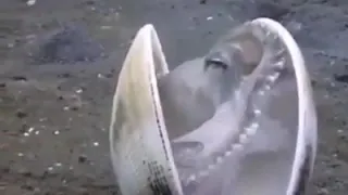 دعاء الحمد لله الذي لا ينسى من ذكره الشيخ ادريس ابكر 