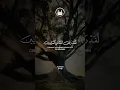 Download Lagu Surah Al-Fath Ayat 17-18 Quran Recitation by Yasser Al Dosari #qurandaily