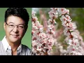 姜育恆經典金曲 2（内附歌詞）01 梅花三弄  02 多年以後  03 一世情緣  04 別讓我一個人醉