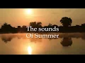 The Sounds Of Summer