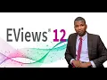 1 Introduction to EViews and its workspace