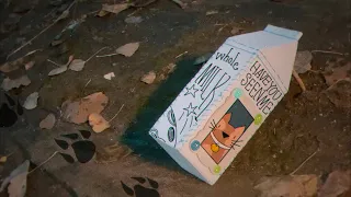 madilyn mei the milk carton official audio 