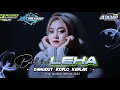 Download Lagu DJ LEHA BULEH MELE BEKAL BINIH DANGDUT KOPLO KEPLAK R3 audio Feat Jbs audio And ‼️Aulian 17