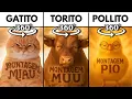 Lagu 360° VR Montagem Miau vs Montagem Muu vs Montagem Pio: Meme Compilation