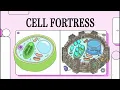 IGCSE Biology Plant Cells Structure Functions Explained Part 3