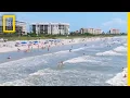 Shark Attack Capital of the World SharkFest