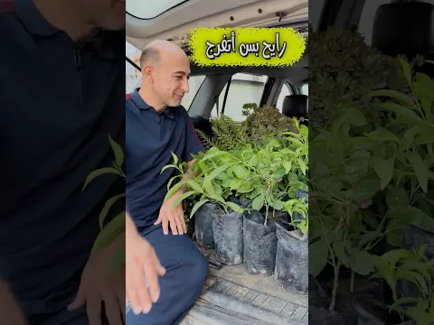 بس رايح أتفرج!!!