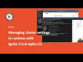 Managing cluster settings in runtime with Ignite 3 0 0-alpha CLI