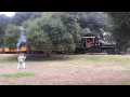 Great Train Robberies Roaring Camp Railroads
