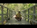 alex ponce - plan (acústico)