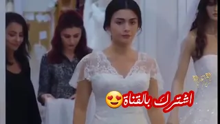 انا لما بحب بحن بجن أمجد جمعة مسلسل اليمين القسم امير وريحان حالات واتس اب 