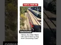 Download Lagu Detik-detik pria menyelamatkan anjing yang akan tertabrak kereta