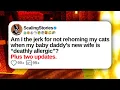 Download Lagu Am I the Jerk for Not Rehoming My Cats When My Baby Daddy’s New Wife Is “Deathly | Reddit Updates