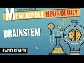 Brainstem Midbrain Pons and Medulla Mnemonics Memorable Neurology Lecture 7