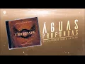 Águas Profundas - David Quinlan in Concert | CD Liberdade