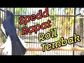 Lagu Kacer gacor full isian mewah || Dengan kombinasi speed rapat dan roll tembak buat kacer jadi mewah