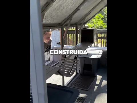 Todos Juzgaron Mal Lo Que Hizo Esta Chica 😳