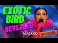 Download Lagu Exotic Bird Revealed on The Masked Dancer