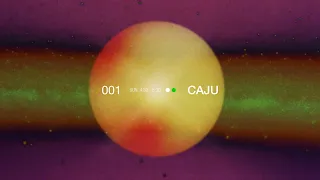 liniker caju visual experience 