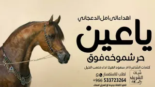 شيله إهداء الى امل الدعجاني اداء صوت الفخامة متعب الخيل 