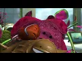 Finding Nemo - 2003
