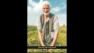 ياسر رشاد جنازير الصعيد النسيبة ومرت الولد 