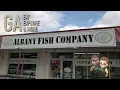 Albany Fish Company - Restaurant Spotlight Food Review