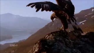 el pastor solitario gheorghe zamfir einsamer hirte musica classica