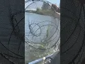Download Lagu Tak ada yang menyangka bisa melihat ini di danau terbengkalai🐟💥