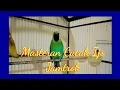 Download Lagu Masteran Cucak Ijo Jambul Ngetrok