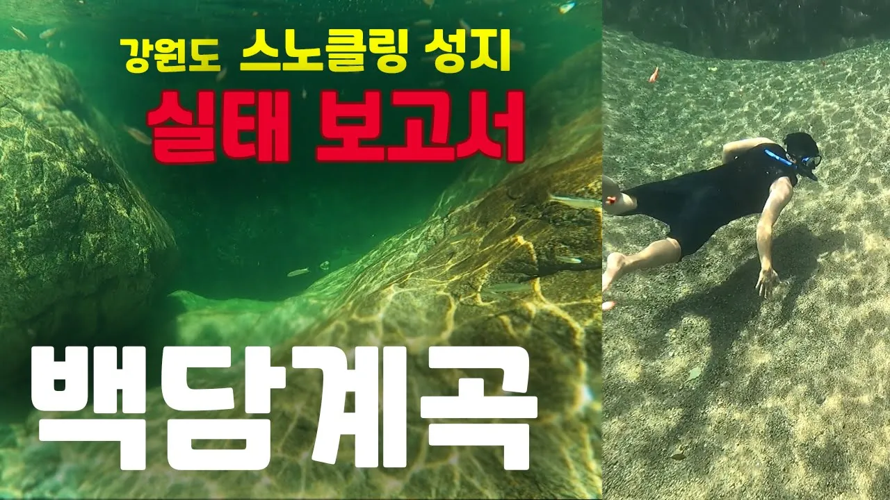 구명조끼 없어서 쫒겨난 백담계곡. 까러 다시 왔음. 물론 성수기 피해서 사람 없을때 (강원도 계곡 / 계곡 스노클링 / 스노쿨링 / 프리다이빙) サムネイル