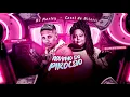 Download Lagu MC MARLEY E MC CAROL DE NITERÓI - NOVINHO DO PIROCÃO