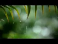 Download Lagu 10 Hours Relaxing Sleep Music with Rain Sounds, Meditation Music, Stress Relief, Relaxing Music