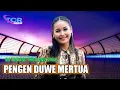 Download Lagu DJ PENGEN DUWE MERTUA DJ TARLING THAILAND STYLE || @TCRPRODUCTION