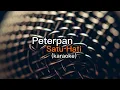 Download Lagu Peterpan Satu Hati (karaoke)