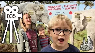 Travels In Andalucia – Visiting Mosque Cathedral of Cordoba and Zoo #35