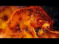 Starset - Carnivore lyrics